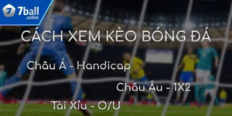 Chú ý quan trọng khi đọc kèo và cá độ