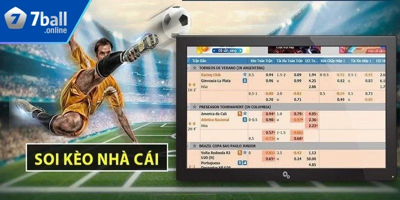 Các hình thức đặt cược trên dưới phổ biến