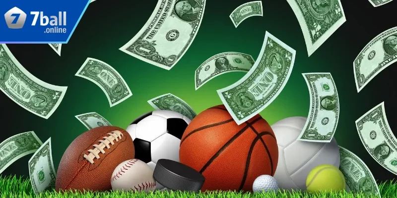 Tìm hiểu sân thể thao tại 77ball